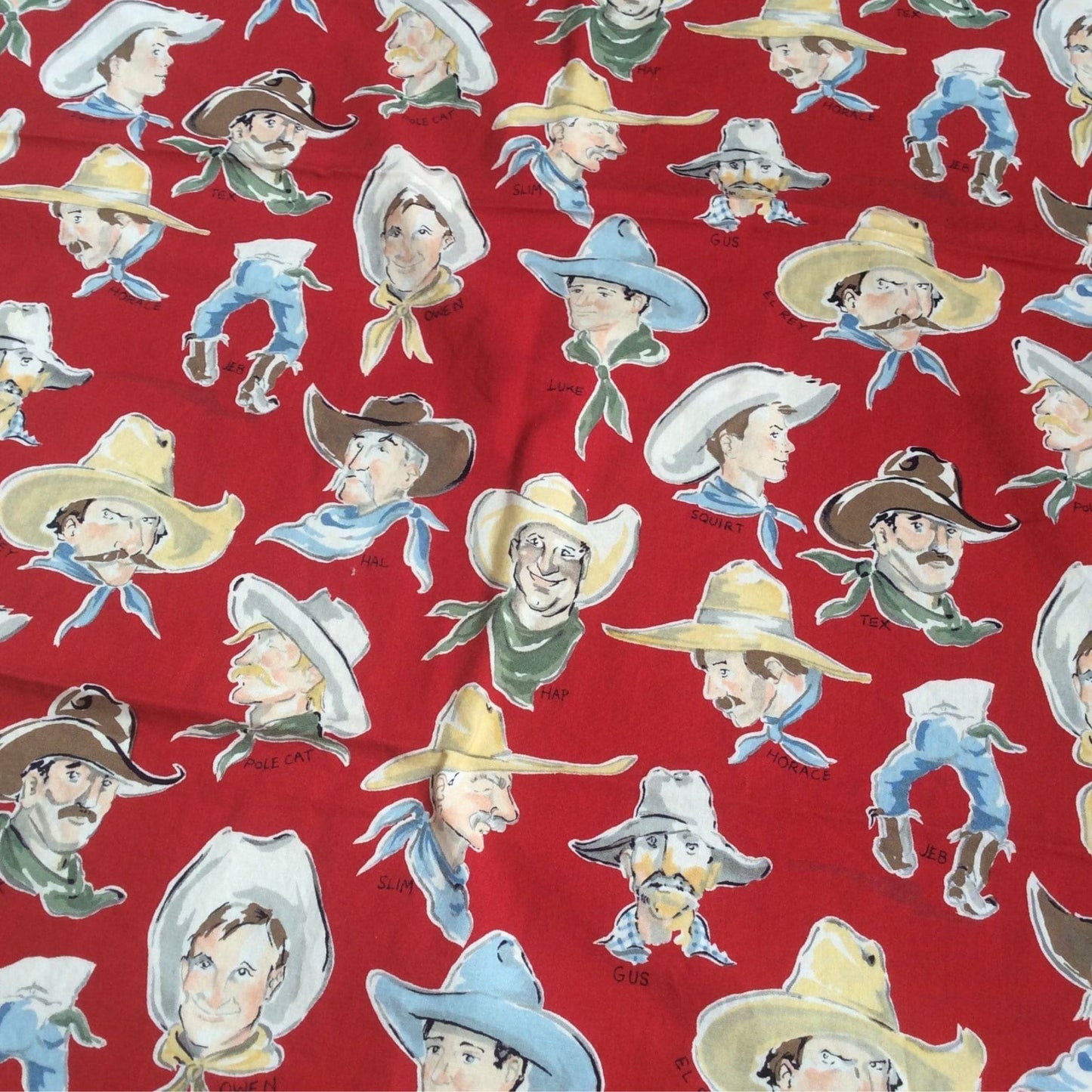 Western Novelty Fabric Multicolor / Cotton / Western